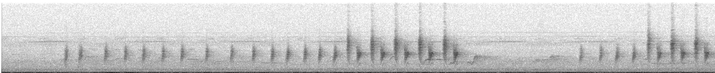 Black-throated Wattle-eye - ML646432152