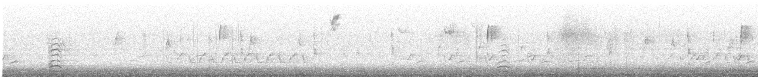 Snow Goose - ML646432269