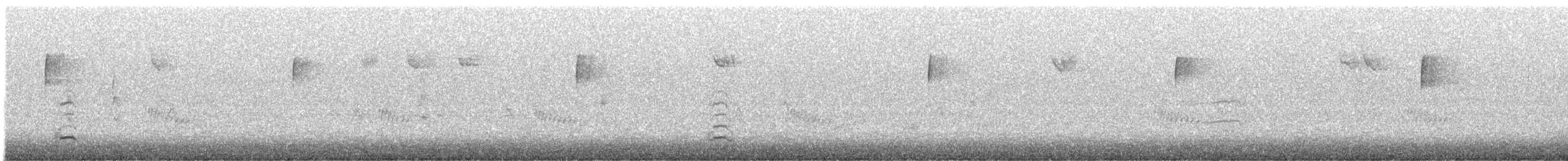 Snow Goose - ML646432270