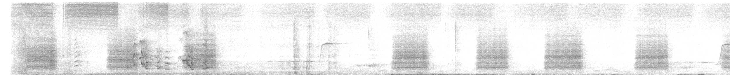 Carnaby's Black-Cockatoo - ML646432301