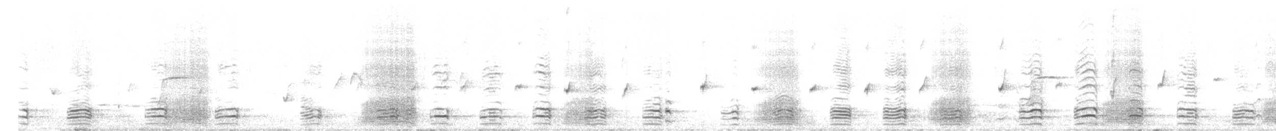 Carnaby's Black-Cockatoo - ML646432302