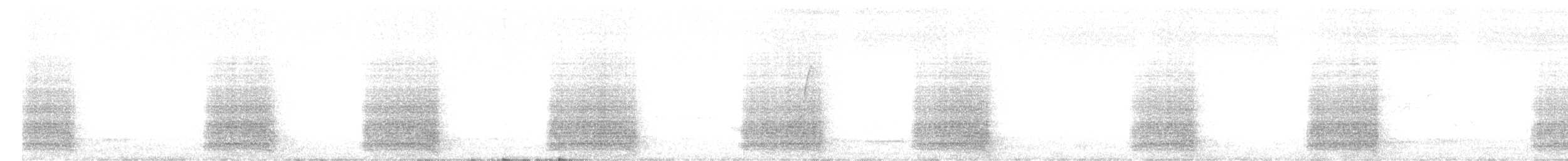 Carnaby's Black-Cockatoo - ML646432303