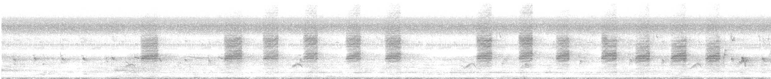 棕背伯勞 - ML646432427