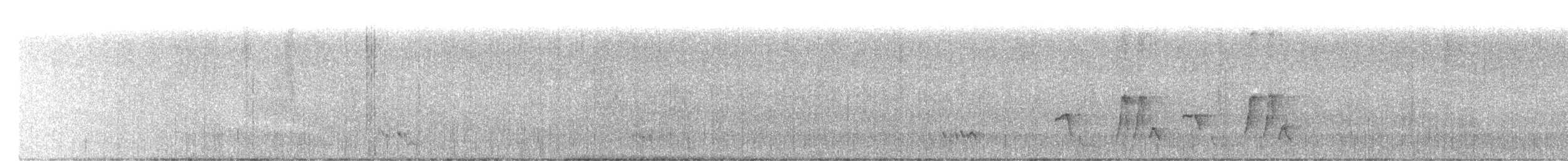 Isthmian Wren - ML646432460