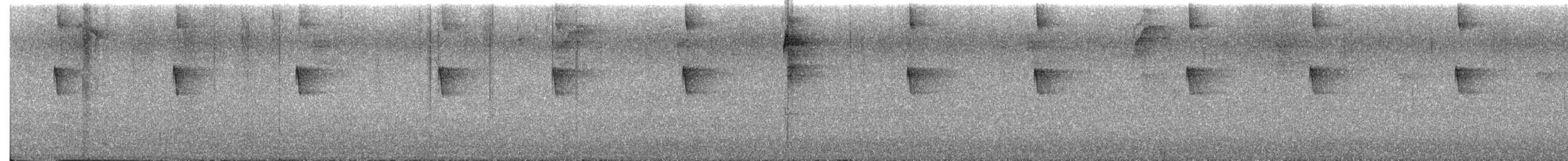 Violet Sabrewing - ML646432617