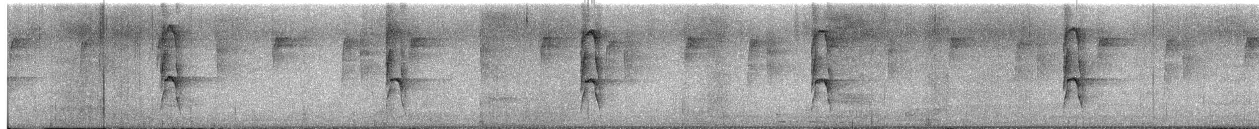 Middle American Leaftosser - ML646432666