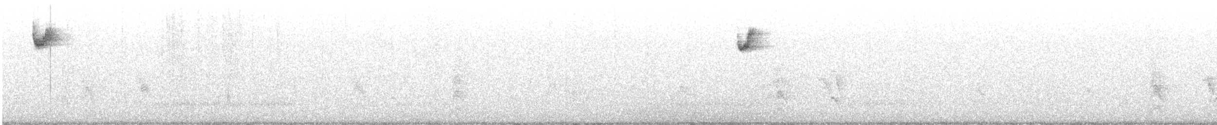 White-throated Sparrow - ML646432739