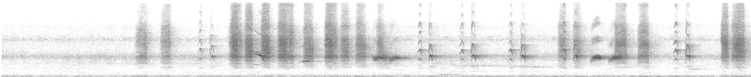 Drongo royal - ML646432749