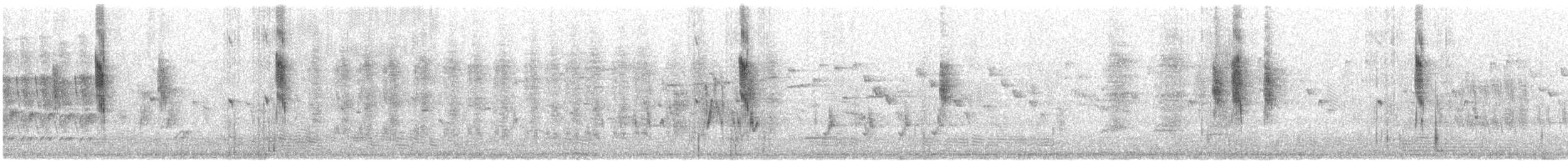 Gerigón Piquicorto - ML646432827