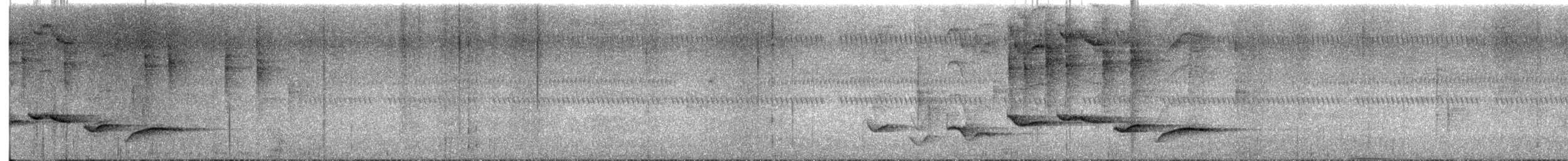 Nava Çıtkuşu - ML646432840