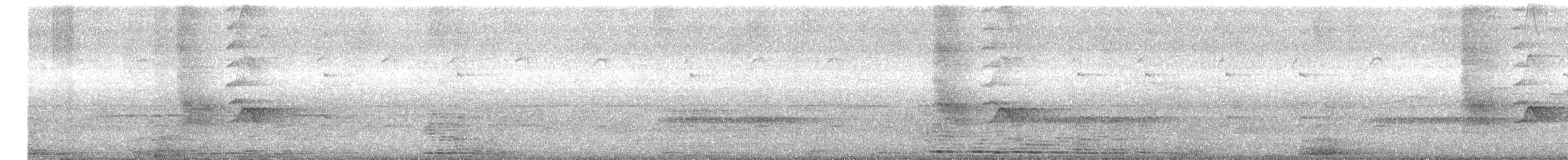 Black Drongo - ML646432859