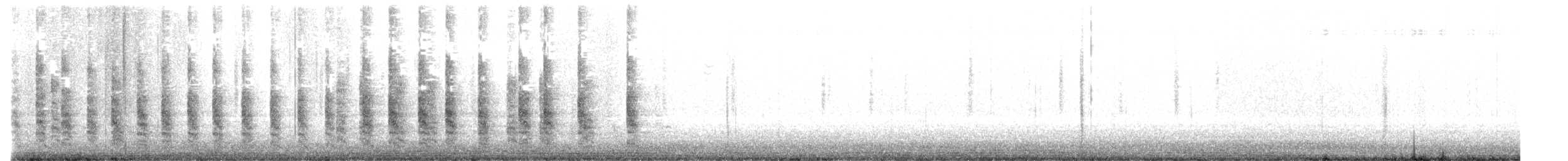 Ridgway's Rail - ML646432930