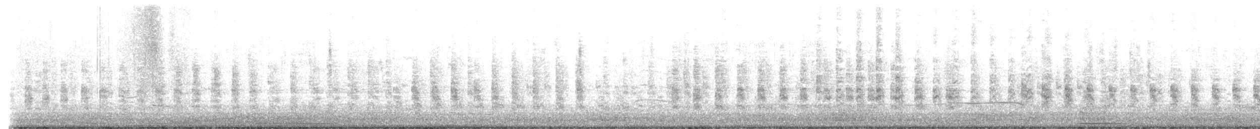 Ridgway's Rail - ML646432938