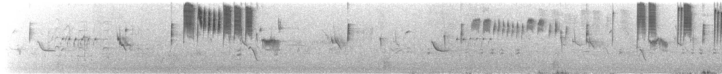 Costa Kolibrisi - ML646432982