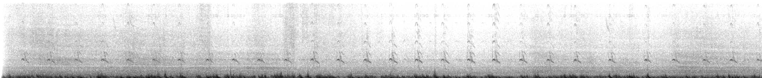 vodouš velký - ML646433240