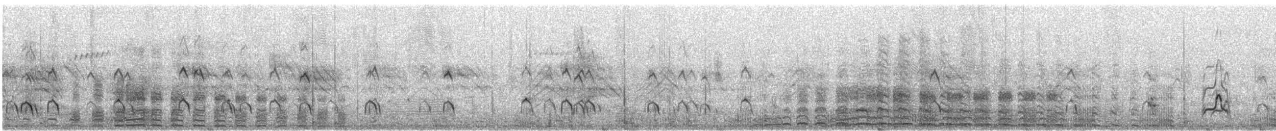 Avustralya Gri Çamurcunu - ML646433383