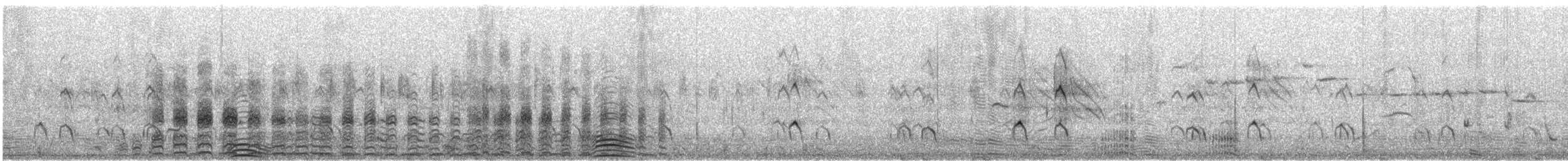 Avustralya Gri Çamurcunu - ML646433384