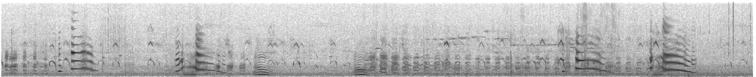 Kara Kuğu - ML646433386