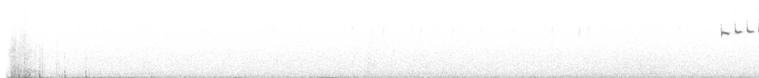 Sandhill Grasswren - ML646434402