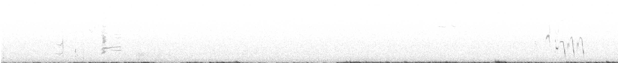 White-fronted Honeyeater - ML646434433