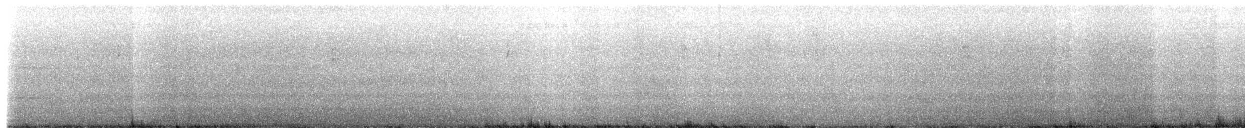 Tennessee Warbler - ML646435049