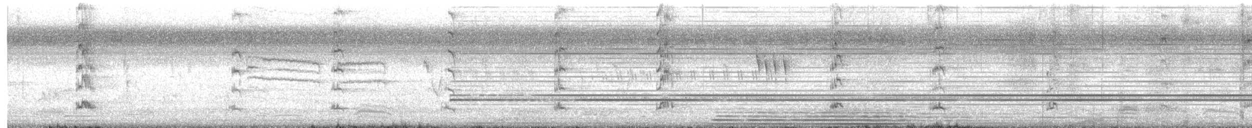 ハイガシラセイケイ - ML646435111