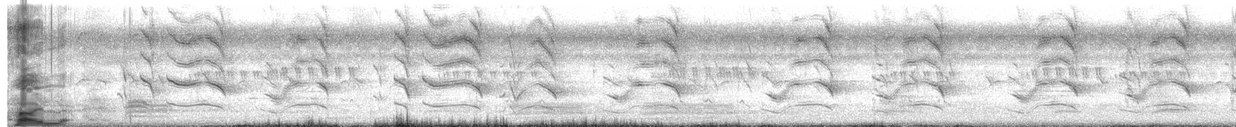 Rose-ringed Parakeet - ML646435178