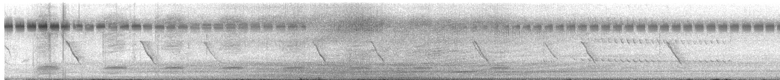 Красношапочная портниха - ML646435196