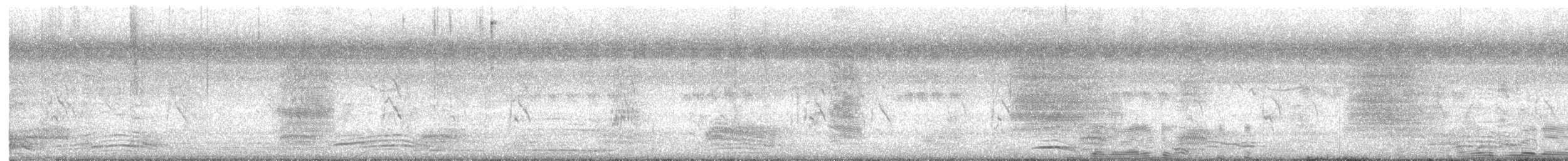 Indian Pied Starling - ML646435226