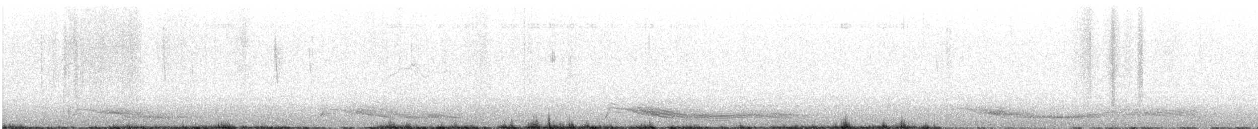 North American Mountain Lion - ML646435716