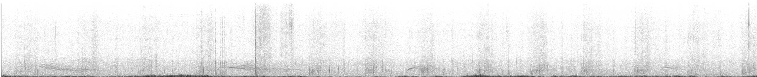 North American Mountain Lion - ML646435717