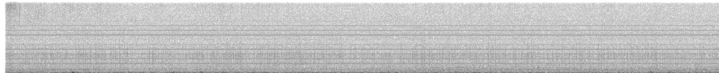 Eastern Screech-Owl - ML646436021