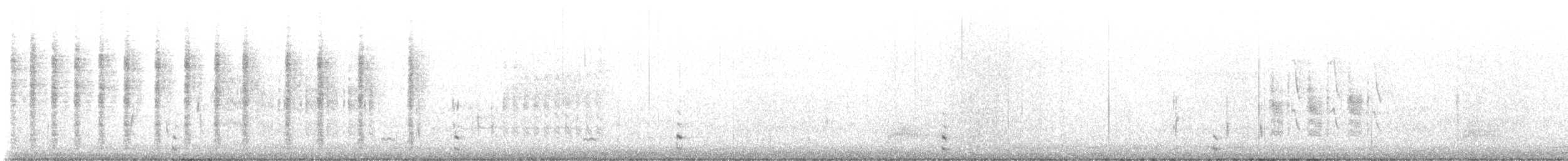 Gallinule d'Amérique - ML646436152