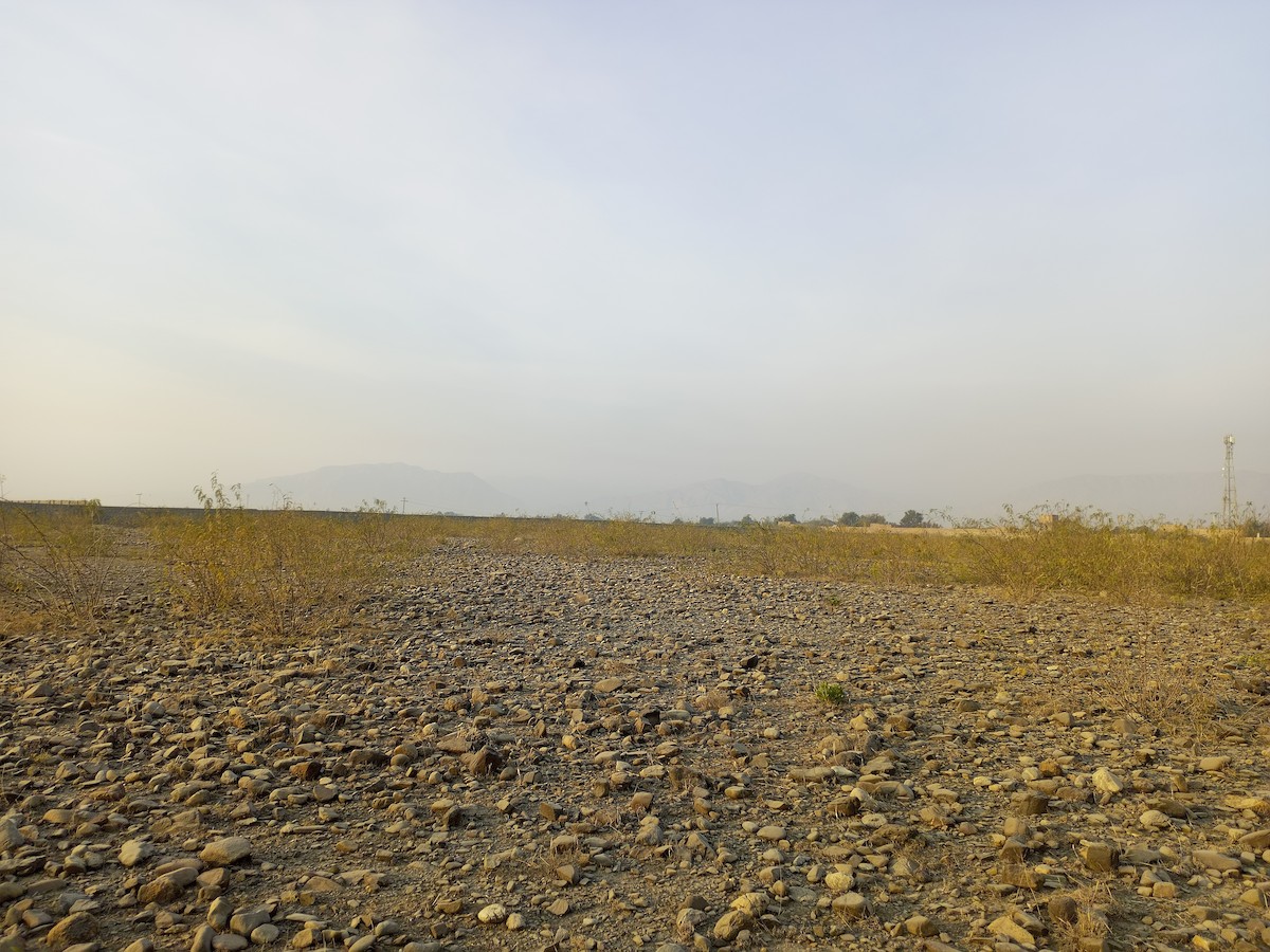 Not specified - Ameer Hamza