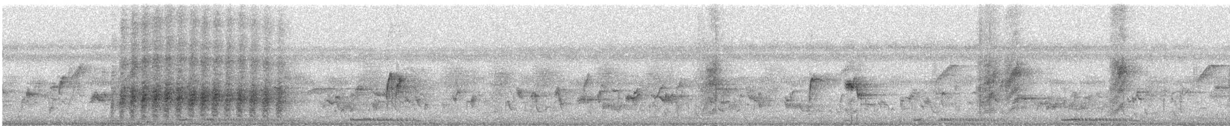 Indian Paradise-Flycatcher - ML646436325