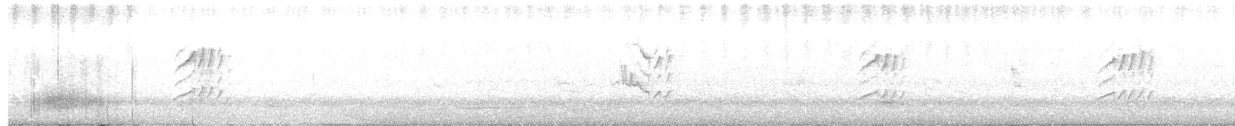 Silvereye - ML646436335