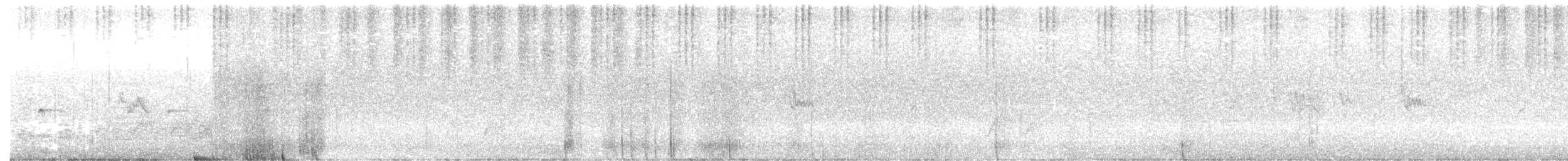 Eastern Spinebill - ML646436337