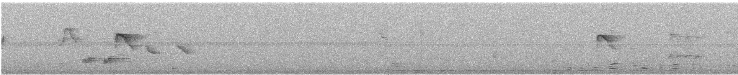 Tawny-bellied Babbler - ML646436360