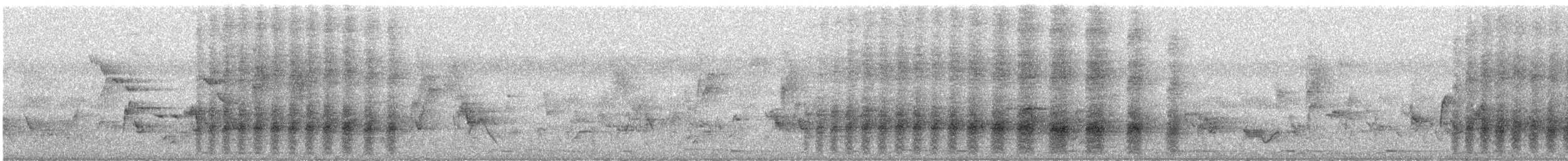 Rufous Treepie - ML646436401