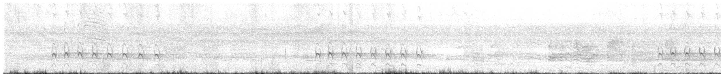 Alción Sagrado - ML646436486