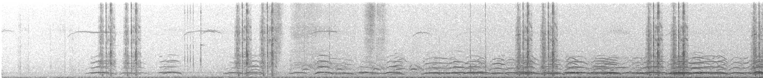 Zwergschwan - ML646436514