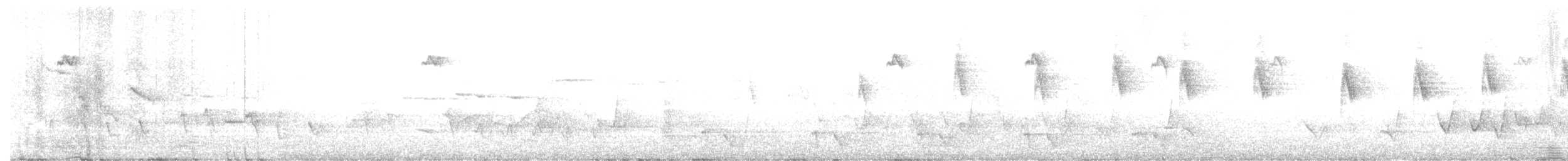 White-eared Honeyeater - ML646436620