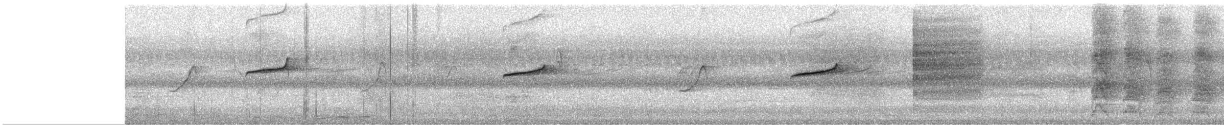 Oriental Magpie-Robin - ML646436631