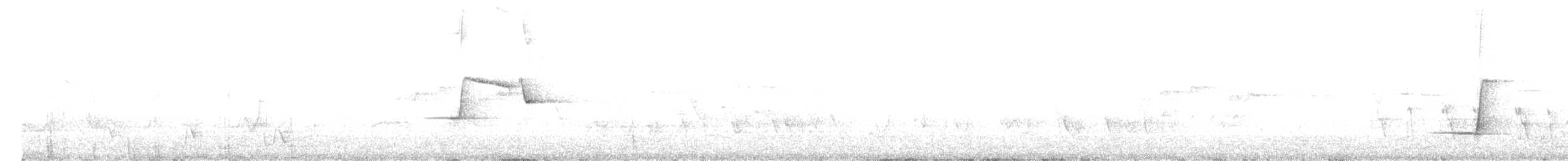 Rufous Whistler - ML646436632