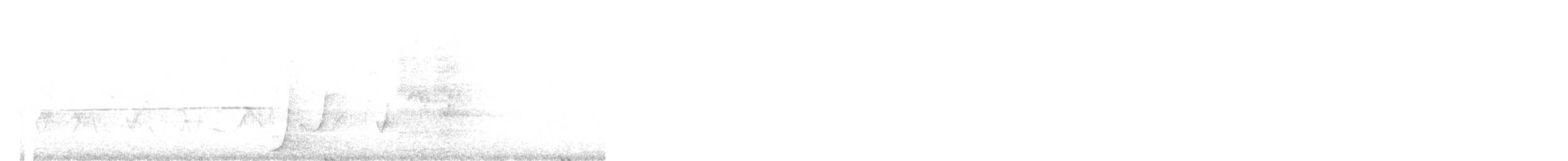 Eastern Whipbird - ML646436640