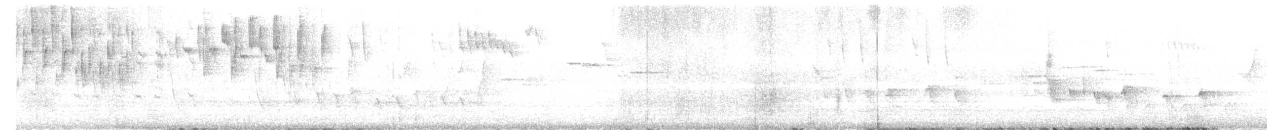 Gray Fantail - ML646436644