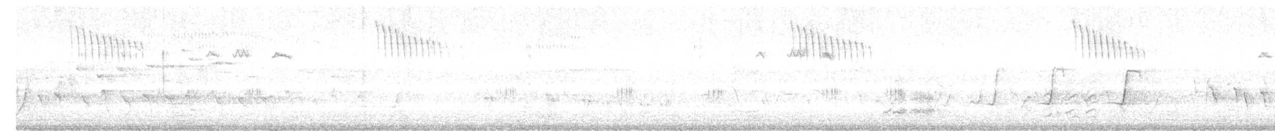 Superb Fairywren - ML646436652