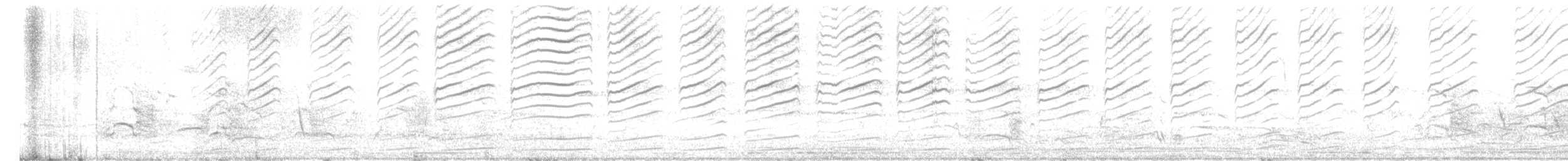 Australian Magpie - ML646436713