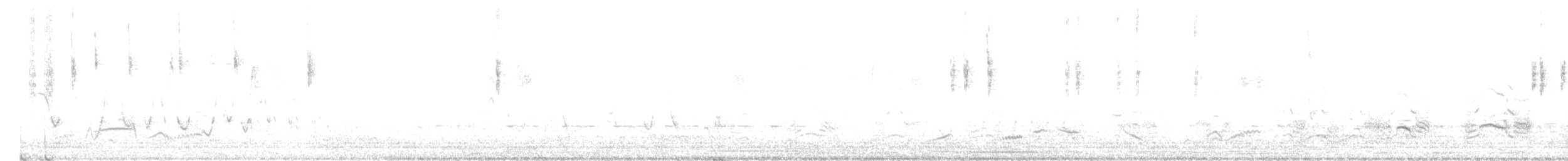 White-browed Scrubwren - ML646436752