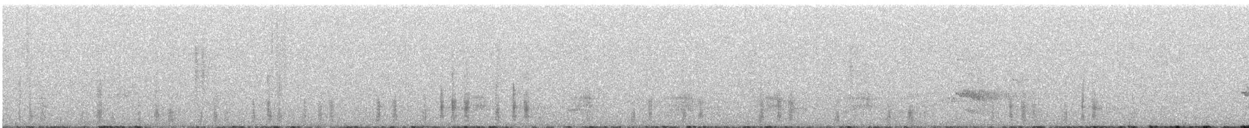 Mallard - ML646437091